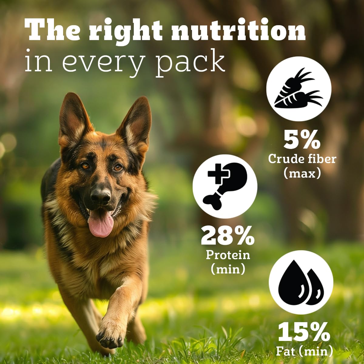 Pedigree PRO Expert Nutrition Active Adult Large Breed Dog (18 Months Onwards) Dry Pellet Dog Food, Chicken, 20kg Pack