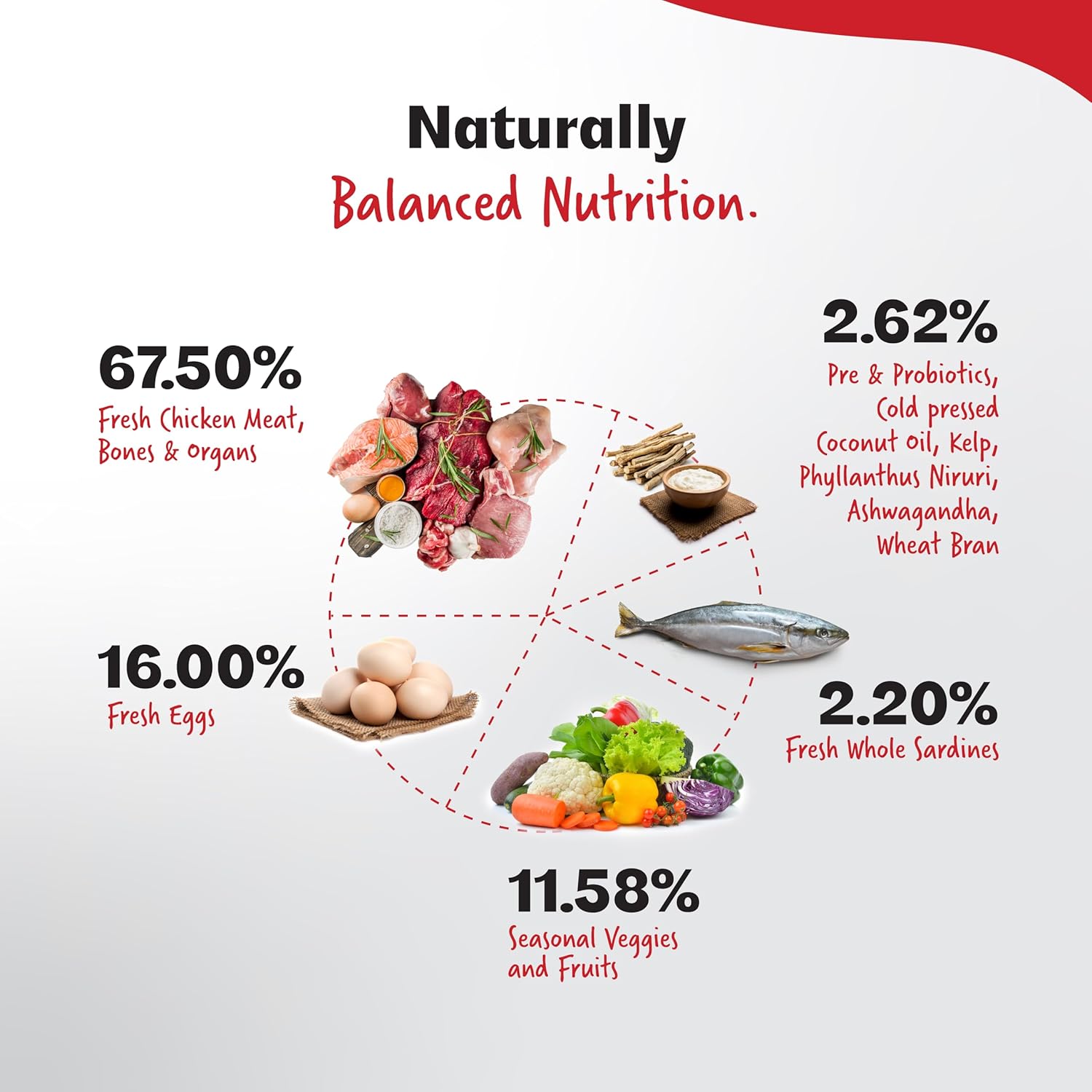 RIGHT4PAWS Dry Dog Food - Ultimate Diet - Large & Giant Breed Diet for Adult with High Nutrition 85.7% Animal Source, Omega 3 & Omega 6