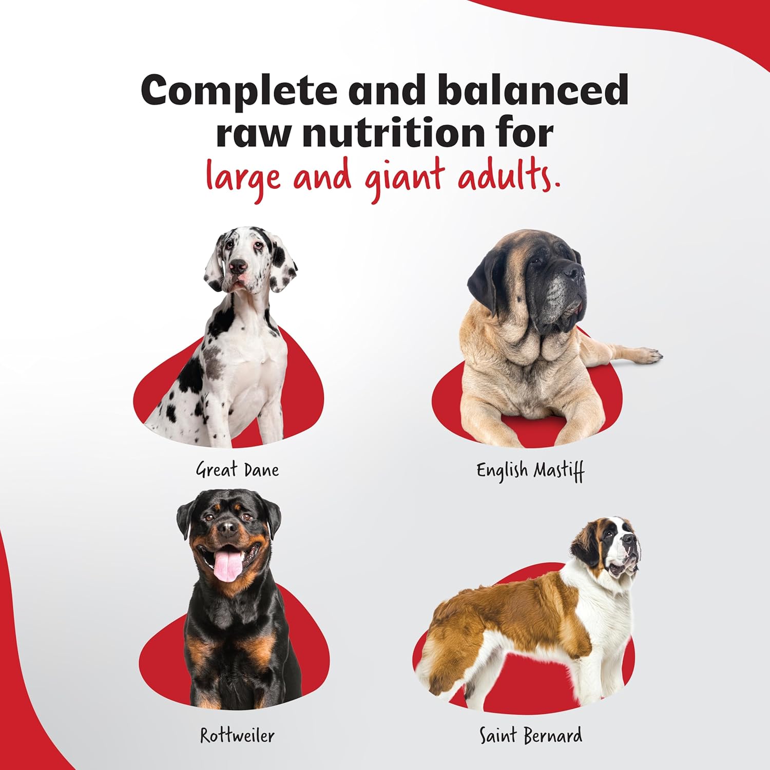 RIGHT4PAWS Dry Dog Food - Ultimate Diet - Large & Giant Breed Diet for Adult with High Nutrition 85.7% Animal Source, Omega 3 & Omega 6