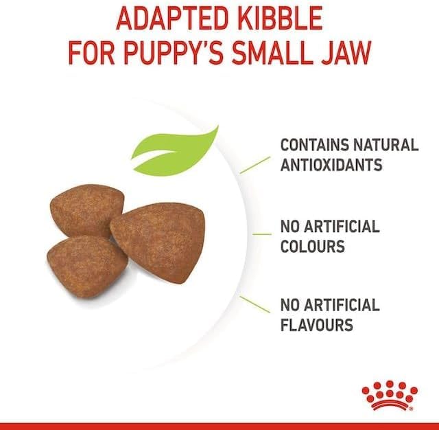 Royal Canin Mini Puppy Food, 800 Grams, Dry Food, Supports Complex Natural Defence & digestive health, Supports Immune System