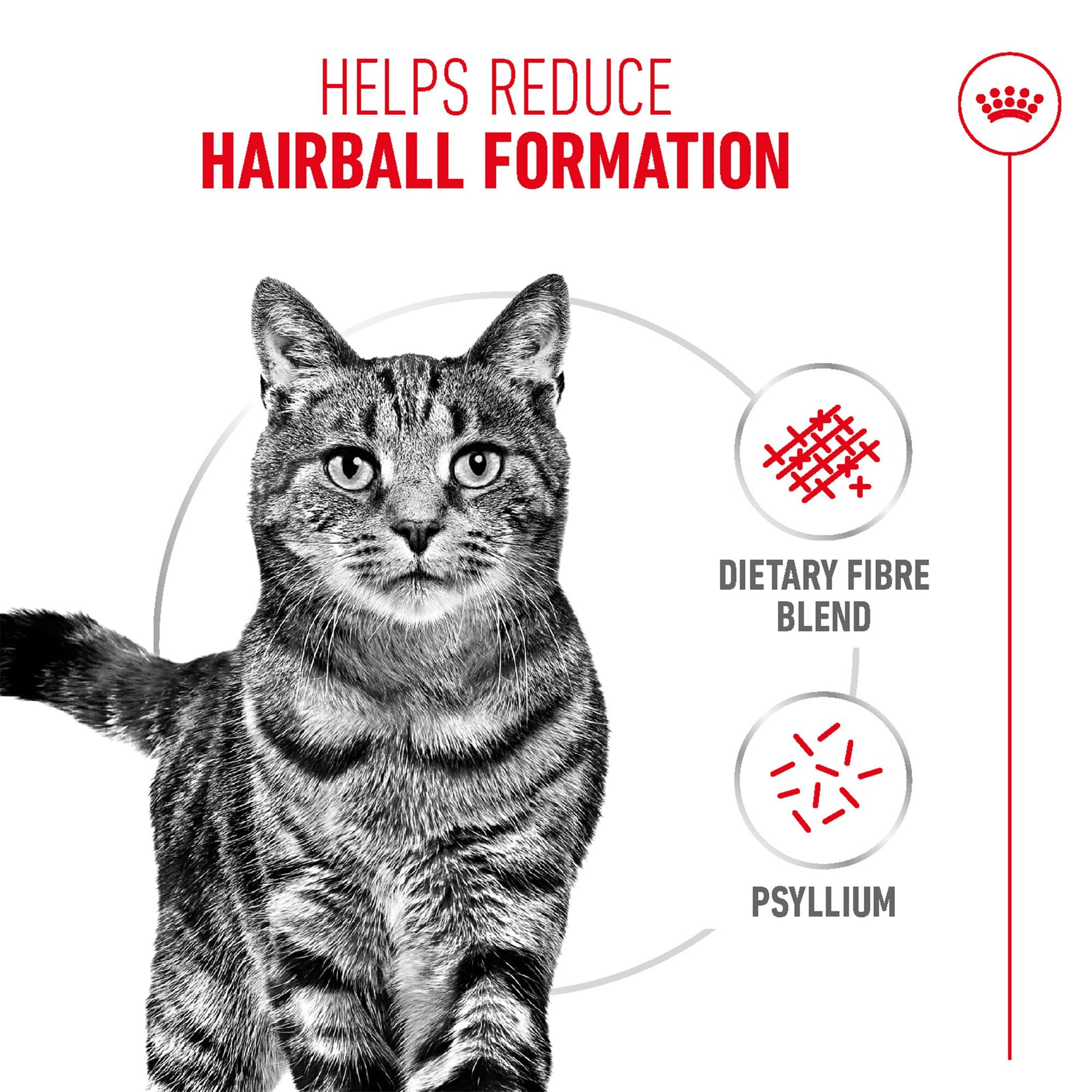 Royal Canin Hairball Care for Cats, 400 Grams, Wet Food, Dietary Fiber Blend, Helps Reduce Hairball Formation, Proven Results in 14 Days
