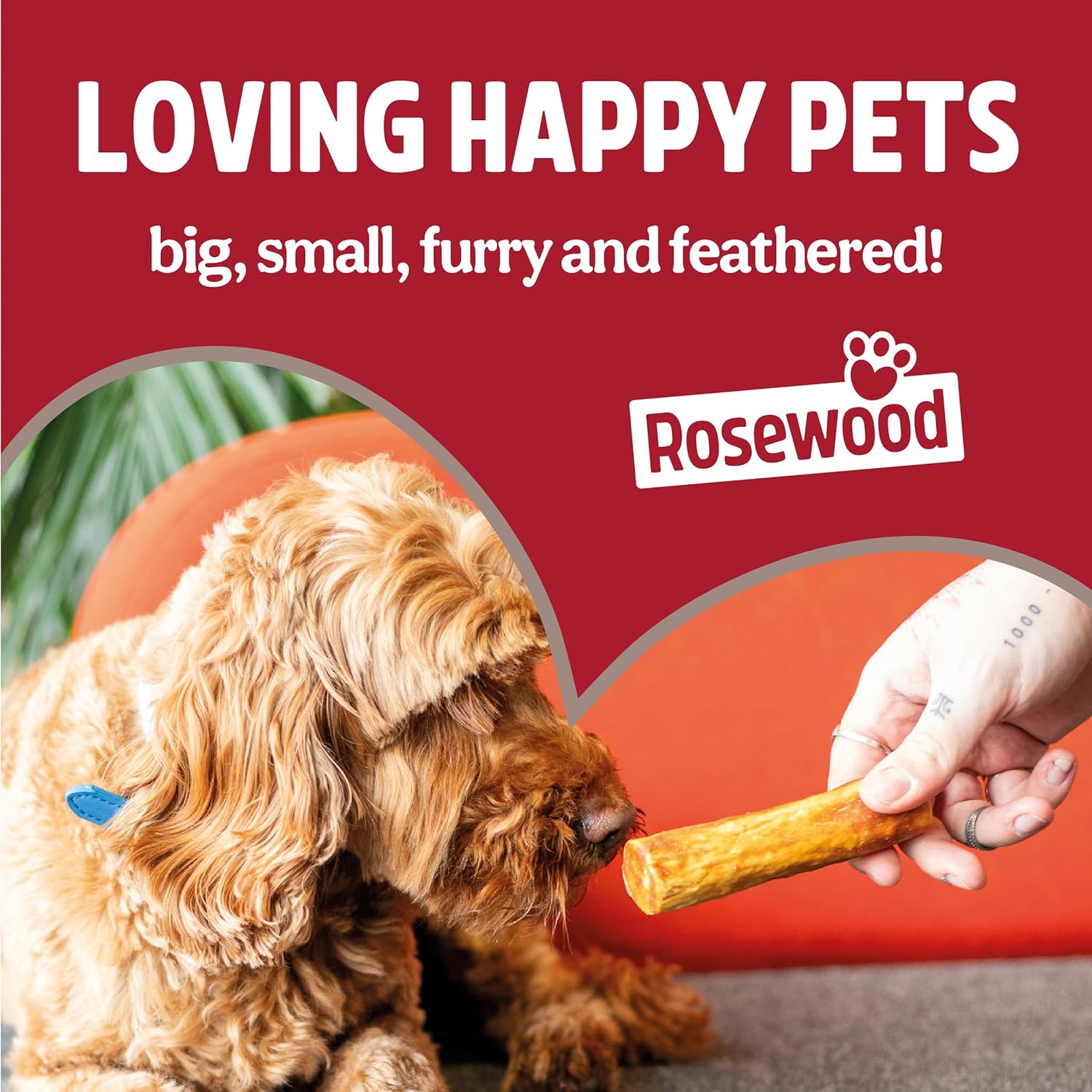 Pets Unlimited Chewy Sticks with Chicken (Tricolour, 90g) 3 Pieces