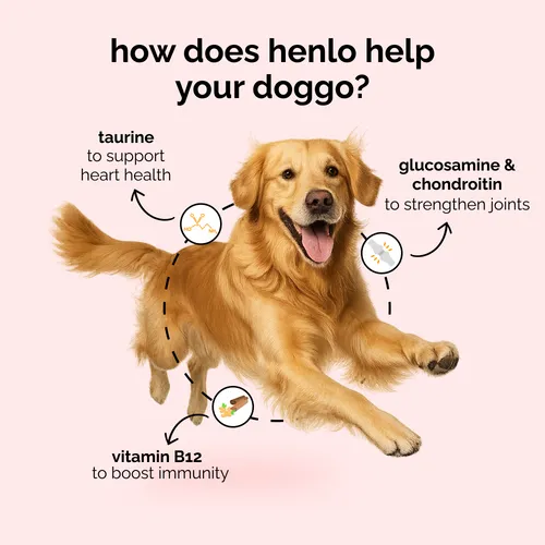 Henlo Baked Chicken & Liver Adult and Puppy Dog Dry Food | 100% human grade ingredients