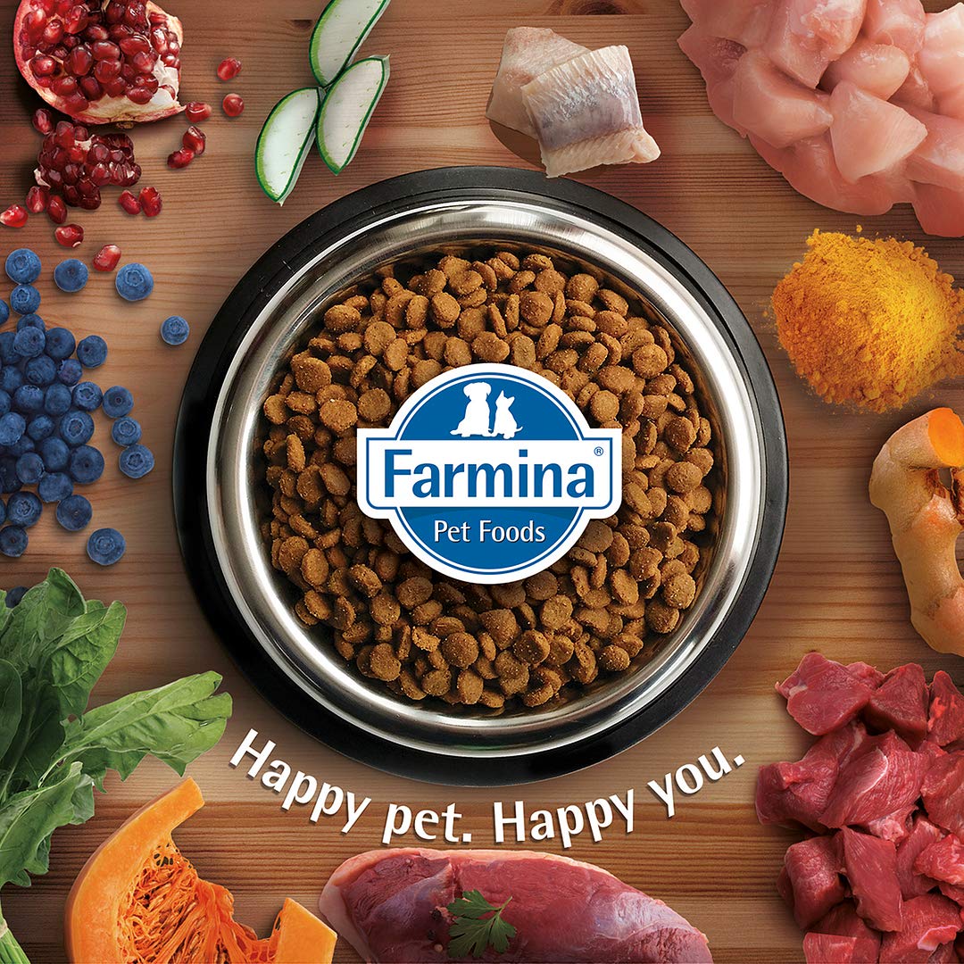 FARMINA N&D Ocean Dry Cat Food, Adult, Grain-Free, 5-kg, Herring and Orange