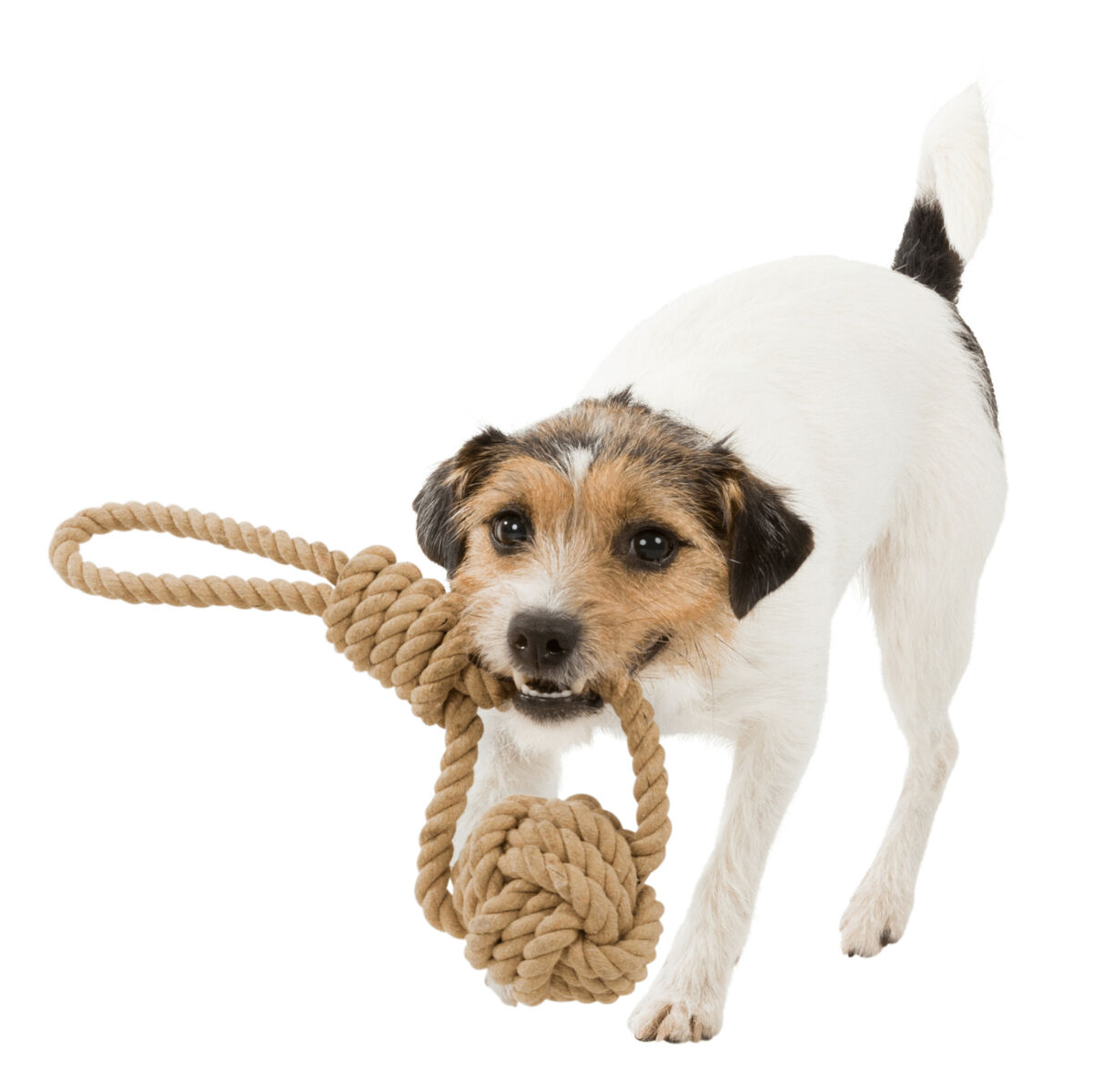 Trixie BE NORDIC Playing Rope with Woven-in Ball Toy for Dogs