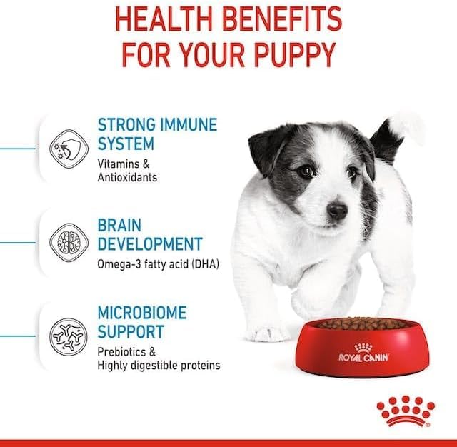 Royal Canin Mini Puppy Food, 800 Grams, Dry Food, Supports Complex Natural Defence & digestive health, Supports Immune System