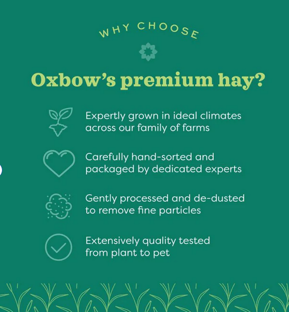 Oxbow Western Timothy Dry Hay (Grass) For Small Animals