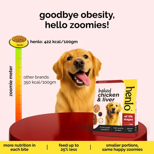 Henlo Baked Chicken & Liver and Chicken & Rice Dog Dry Food Combo 800+800
