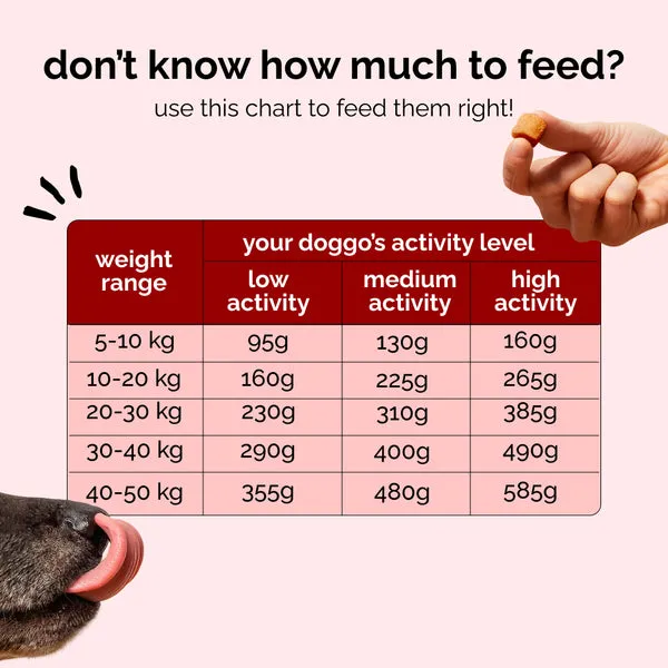 Henlo Baked Chicken & Rice Adult and Puppy Dog Dry Food | 100% human grade ingredients