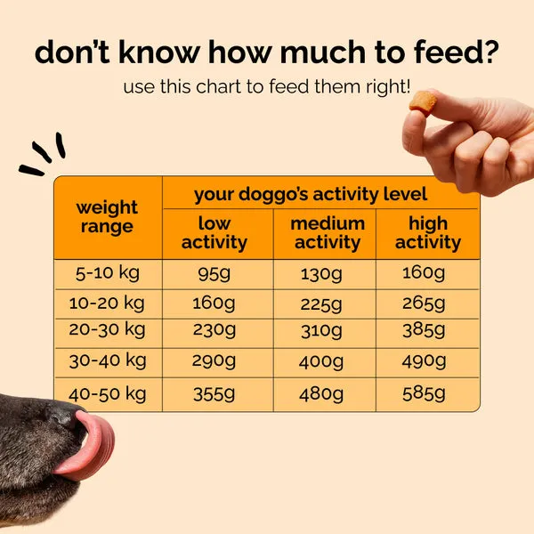 Henlo Baked Chicken & Rice Adult and Puppy Dog Dry Food | 100% human grade ingredients