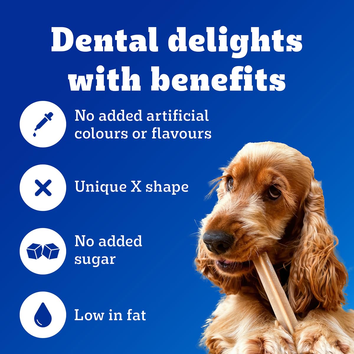 Pedigree Dentastix Oral Care Dog Treat, Adult Medium Breed (10-25 kg), 720 g, Recommended by Vets, Supports Gum Health, Reduces Risk of Gum diseases