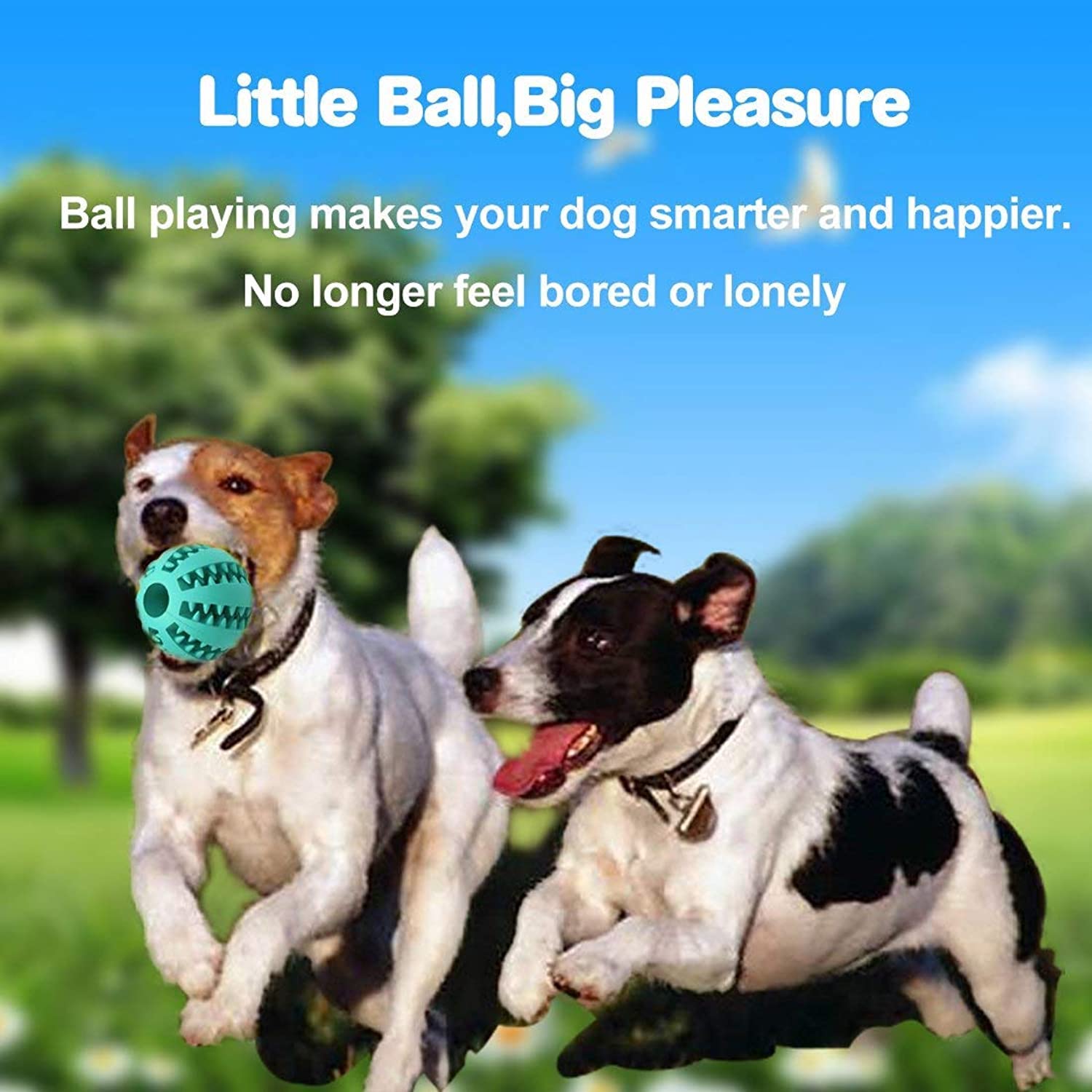 HotsUAE Dog Toy Ball, Nontoxic Bite Resistant Ball for Pet Dogs Puppy Cat